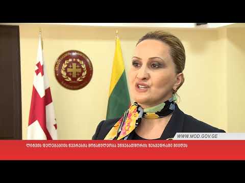 ლიტვის დელეგაციის წევრებმა უწყებათშორის შეხვედრაში მიიღეს მონაწილეობა