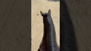 First Time Bareback In Ages With Milo, He Was Great