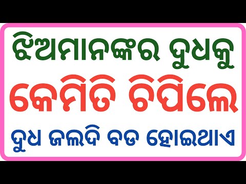 Odia double meaning question | Part-4 | Odia nonveg question | Interesting Funny IAS Question Answer