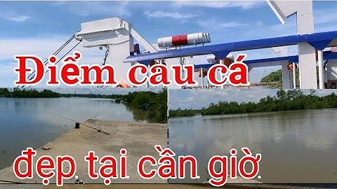 Câu cá cần giờ /cầu vàm xác lý nhơn cần giờ /vietnam river fishing