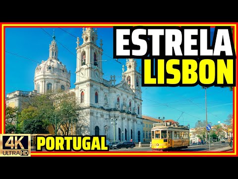 Video: Sao Benton palatsi (Palacio de Sao Bento) kuvaus ja kuvat - Portugali: Lissabon