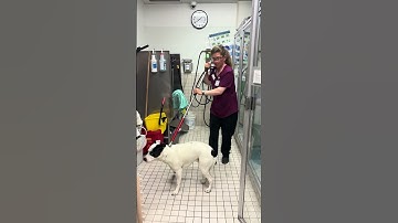 Skill 10 Restraint Pole