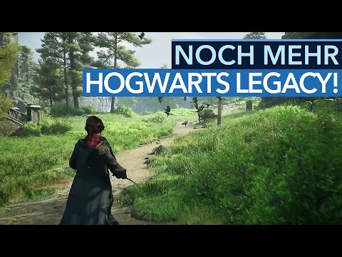 Kurz vor dem Release gibt's mehr Gameplay und Infos zu Quests & Technik von Hogwarts Legacy