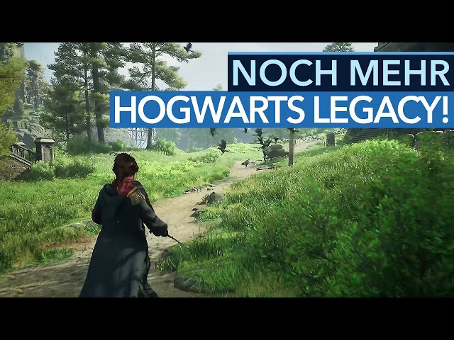 Hogwarts Legacy, kurz von dem Release