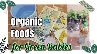 CONTAINER GARDENING: HOW TO MAKE ORGANIC FOODS (FERTILIZER) FOR PLANTS I TRIED FOR MY GREEN BABIES