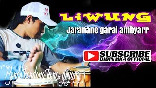 Liwung Jaranan Jandhut Cak Didin Mkadidin Mka cover Kendang