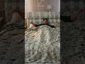 "Kitna Paisa Hai IsRoom Mein? 😱💸 #shortsMillionaireLifestyle 🤯💰 #ytshorts""Dream Life💸🔥#viralshorts"