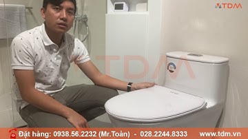 TDM.VN | Review bồn cầu American Standard WP-1880 - VF-1880 bàn cầu 1 khối mẫu mới 2020