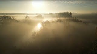 Flying Through the Foggy Autumn Scenery with DJI Mini 3 Pro by Volvo Camper Life 1,229 views 1 year ago 3 minutes, 58 seconds