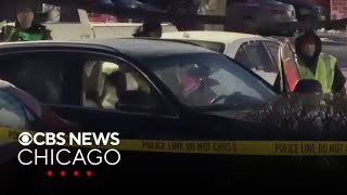 Driver dies after shooting, crash in Palatine, Illinois