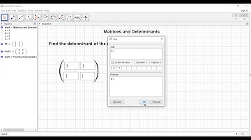 Topic-22: Determinant of a 2 x 2 matrix using Geogebra