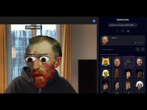 PunkCam Virtual Camera video preview 2