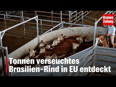 Vorbereitung für die erfolgreiche Anmeldung