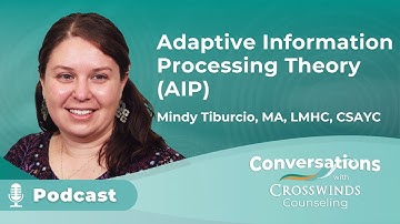 Adaptive Information Processing Theory (AIP)