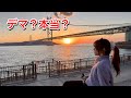 釣具屋の釣果情報 釣れるか検証します