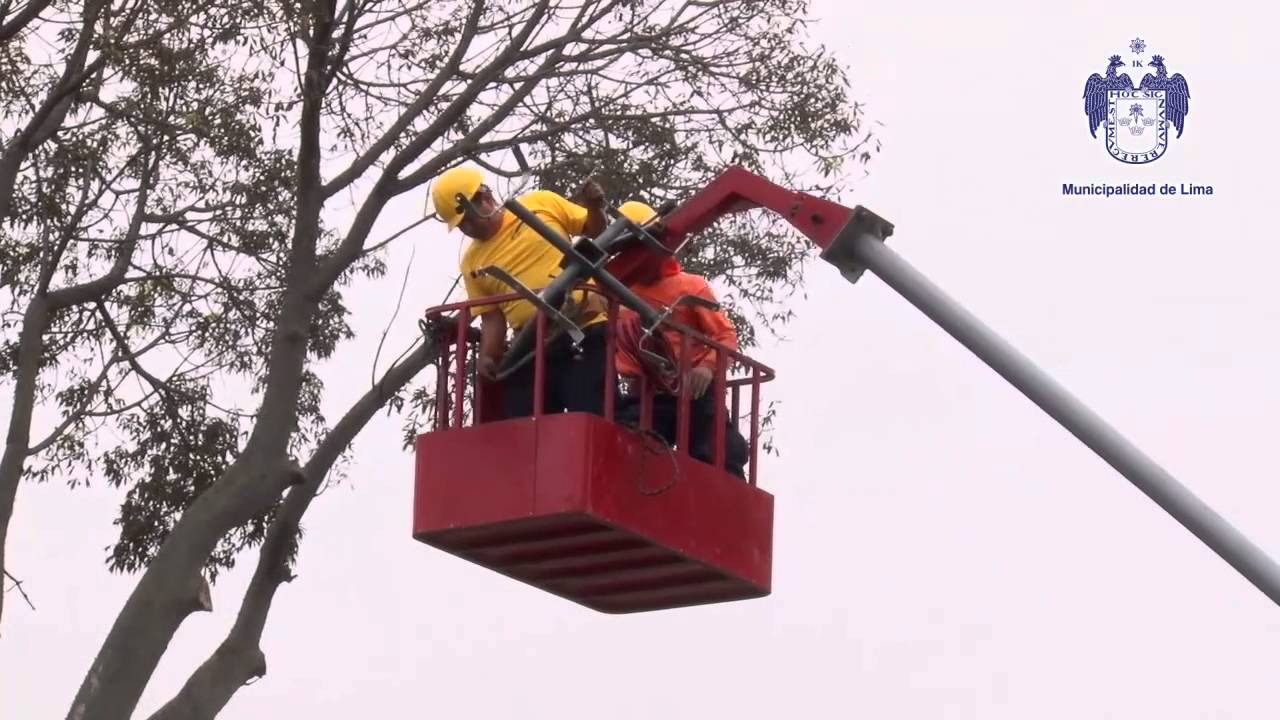 Se dan últimos retoques a trabajados de refacción en Parque Universitario