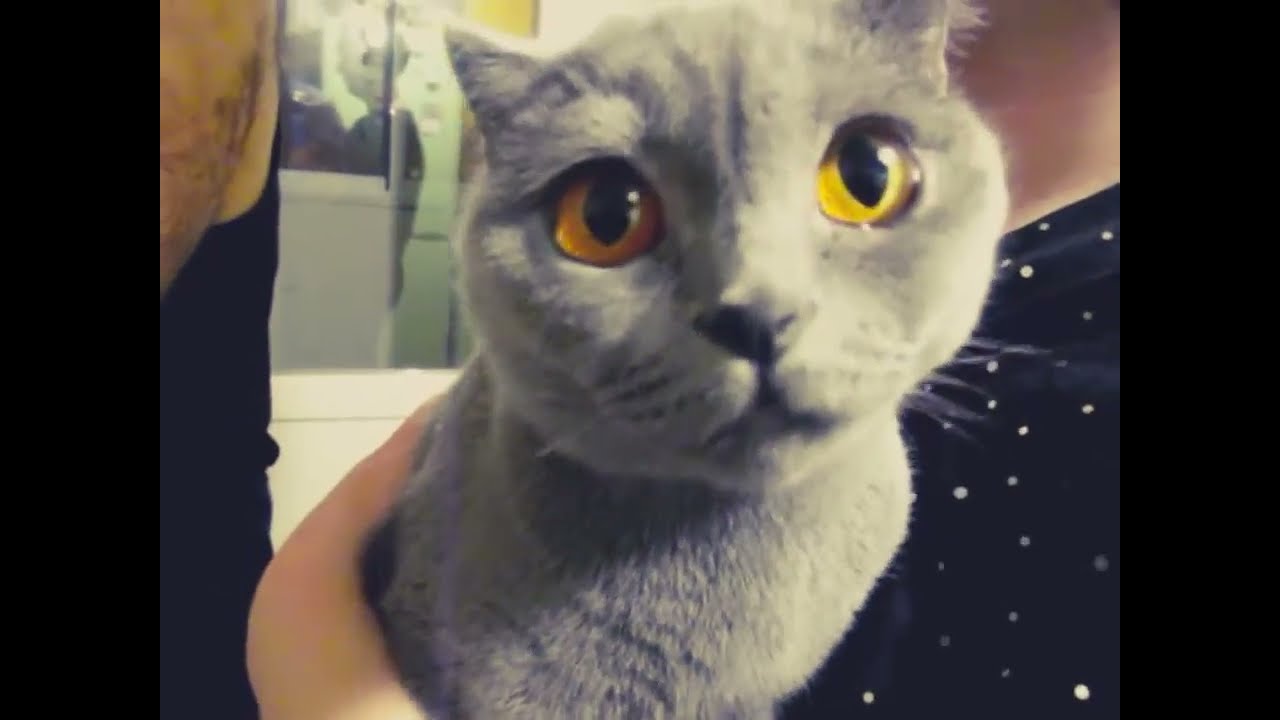 Добротная соковыжималка, в погоню за здоровьем! Unit UCJ-419, Beige