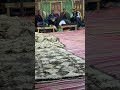  الشاب محمد الصغير الكيلي راك رك رك