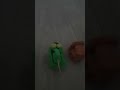 Обзор танков от старшего сыночка 😊