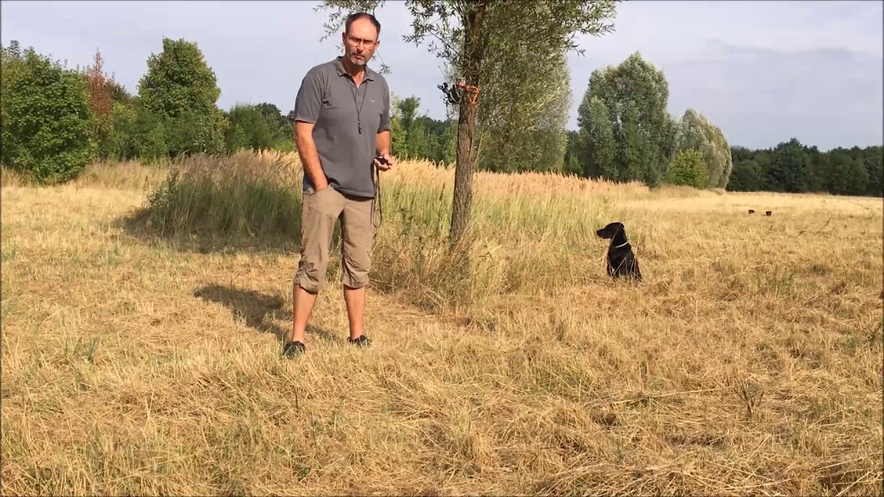 Balldroppje in Action