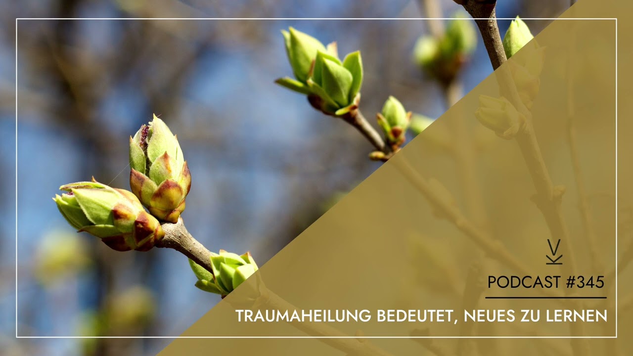 Traumaheilung bedeutet, Neues zu lernen // Podcast #345