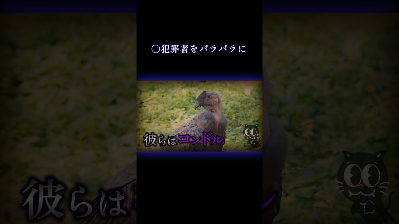 性犯罪者 絶対殺すマン #事件 #実話