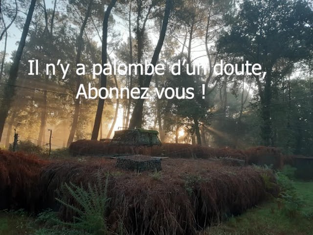 palombe.org - Devinez qui fait des dégâts dans le verger de la palombière