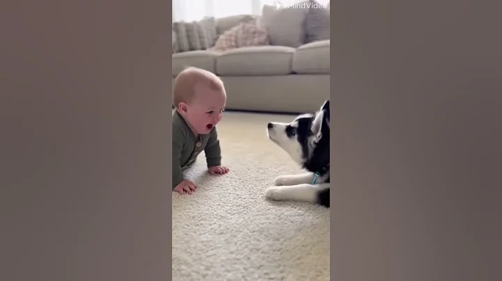 Cute baby with dog 🤭🤭🥰 #shortsfeed #baby #trending #cute #shorts