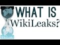 What is WikiLeaks?