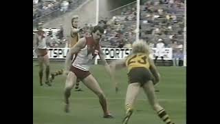 Hawthorn vs Sydney 1987 Qualifying Final Highlights