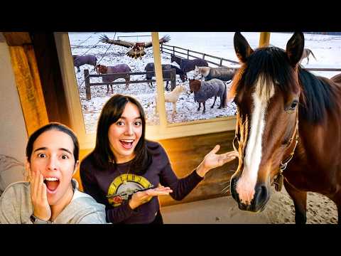 We filmed the music video on top of the horse stable! 📹🐎🏠 #tônahighschoollele