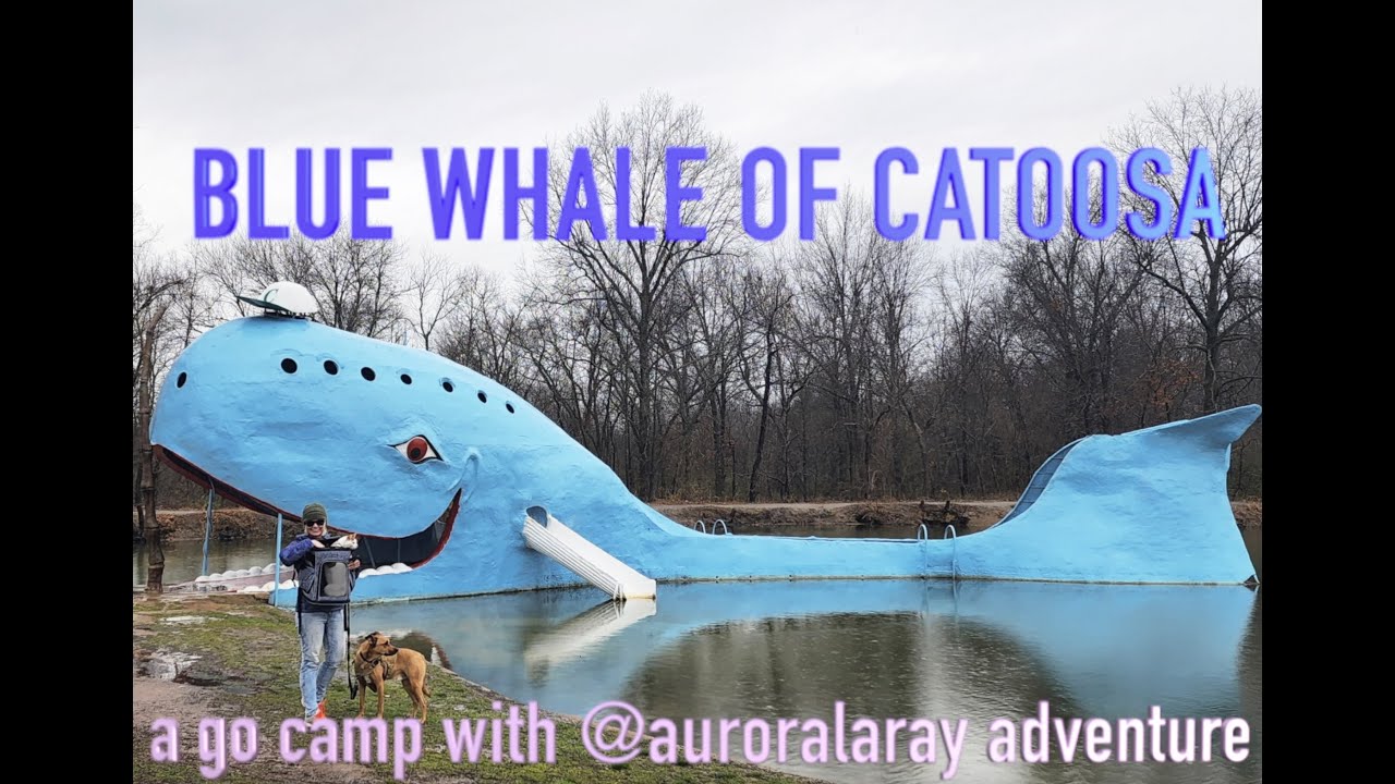 A Go Camp Adventure - Blue Whale of Catoosa