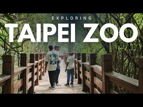 ???? Exploring Taipei Zoo: Giant Pandas, Formosan Bears & More! ????????