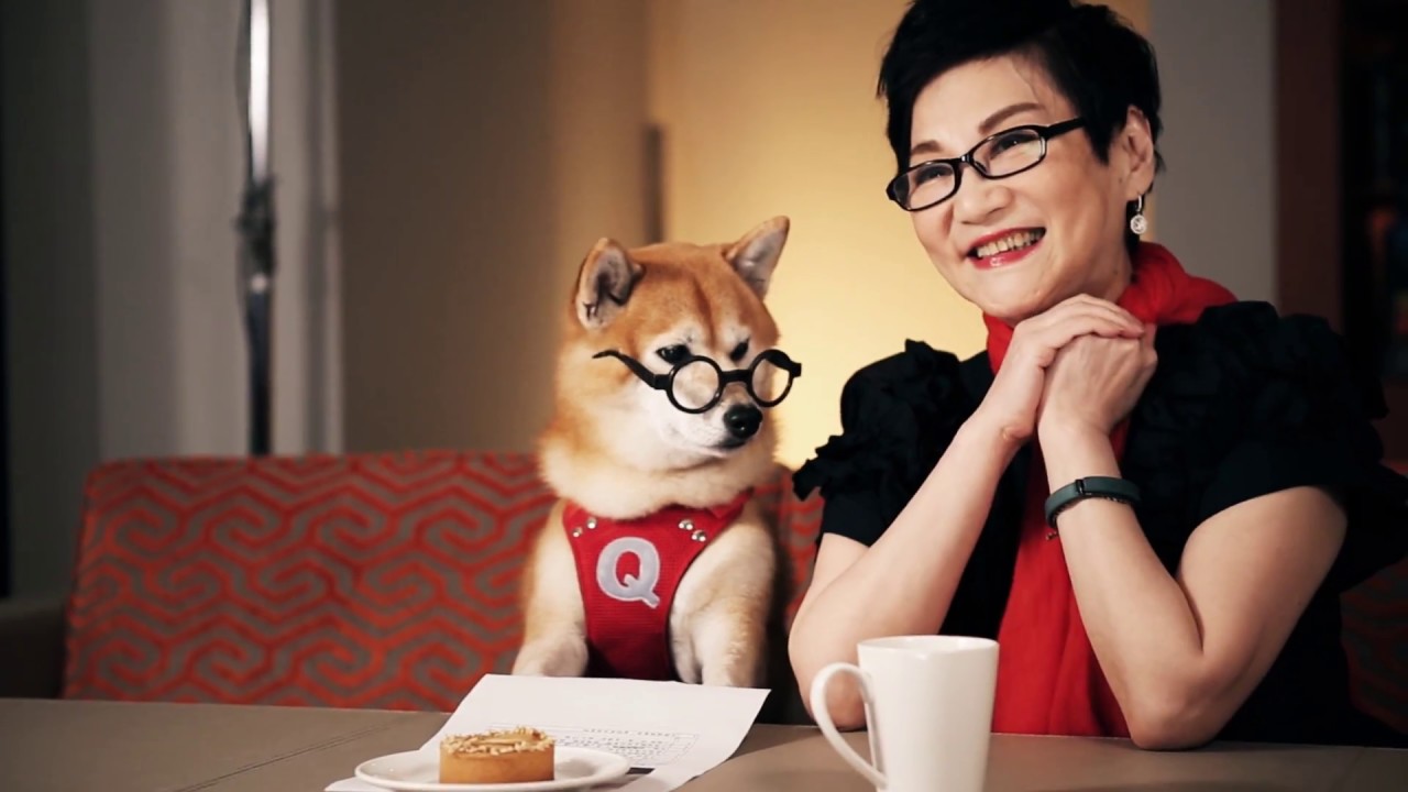 小狗简笔画图片大全 可爱q版柴犬简笔画图片 小柴犬q版