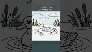 Details Coloring a realistic duck swimming on a calm pond Guide