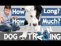 How Often and How Long Should you Train Your Dog? How Often and How Long Should you Train Your Dog?