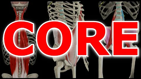 O que é abdominal core?