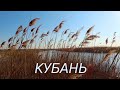 КУБАНЬ СЕГОДНЯ