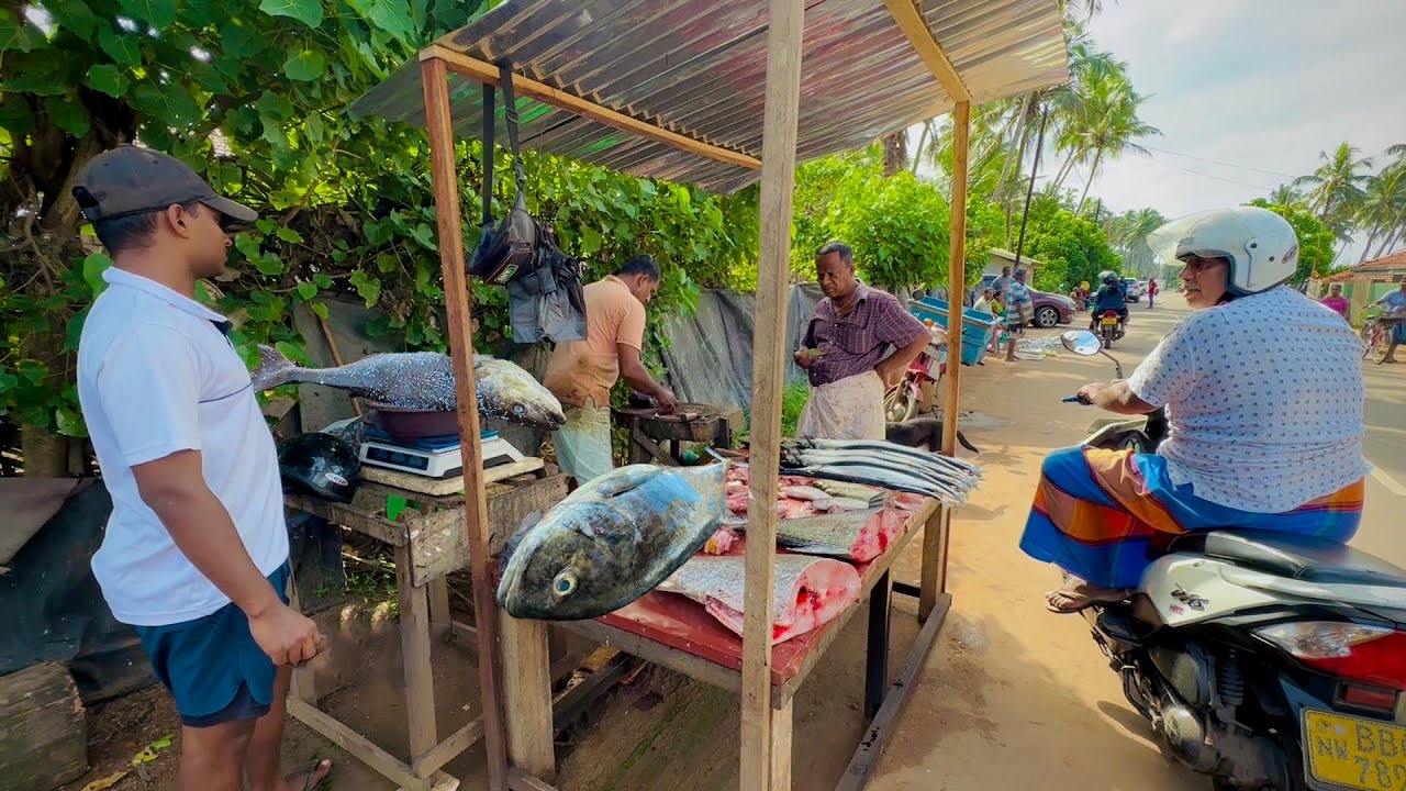 Amazing Gaint Sea Fish Cutting By Man | Super Speed Fish Cutting skills Beautiful Place Sri Lanka