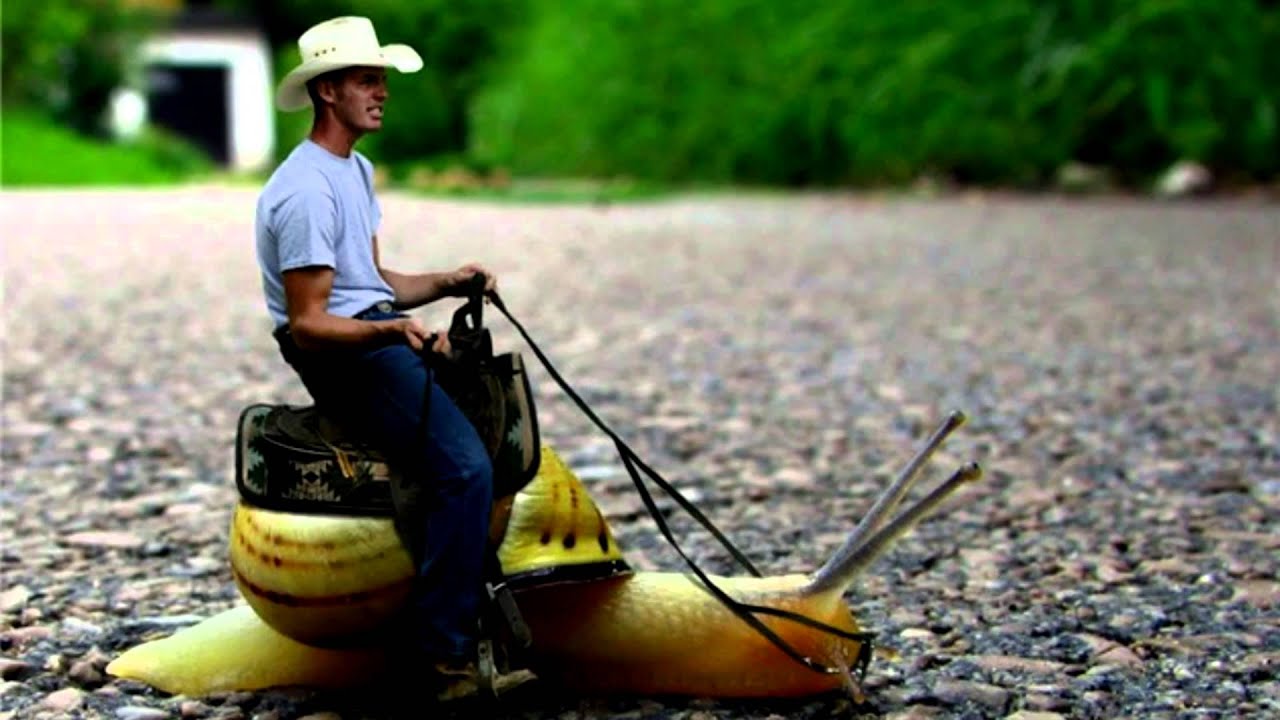 D-Jahsta - Slug Bass [HD] [FREE DL]