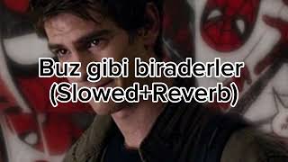 Buz gibi biraderler slowed Resimi