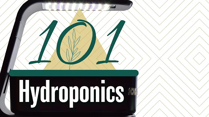 Hydroponics 101: How to Set Up Your First System