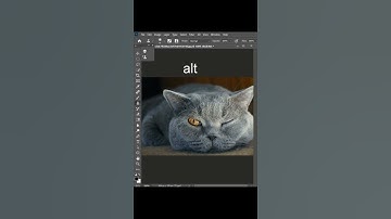 Clone Source Magic in Photoshop | Photoshop cs6 | Photoshop cc | #viral #trending #shorts #video