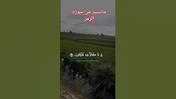 ماتيسر من سورة الزمر #القران_الكريم #اكسبلور #دويتو #تيك_توك #ترند #كلام_من_ذهب #duet
