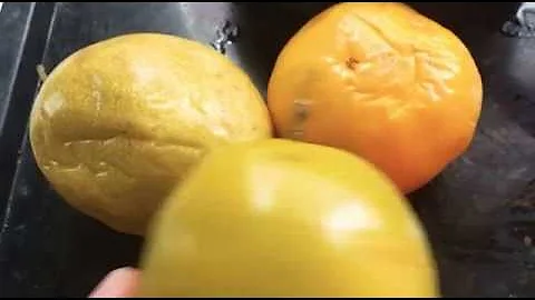 Como tirar o suco de maracujá sem as sementes?
