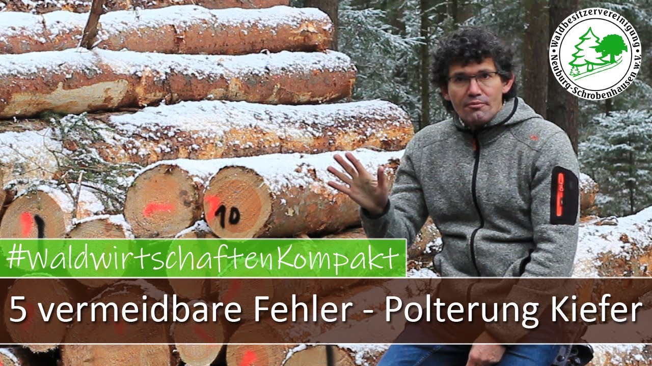 5 vermeidbare Fehler bei der Polterung von Kiefer Fixlängen