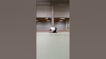 Basic Mae Ukemi in Aikido, first steps | front view |