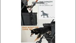 Zoosky Large Dog Stroller Review: Is It Worth It for Your Pets? Features & Performance Explored