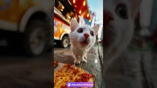 Kitty Is Stealing Your Delicious Pizza – Caught Red-Pawed!