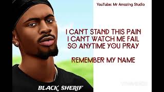 Black Sherif - Kwaku The Traveller (Lyrics video)